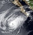 Image of Hurricane Polo of the 1984 Pacific hurricane season on October 1, 1984.