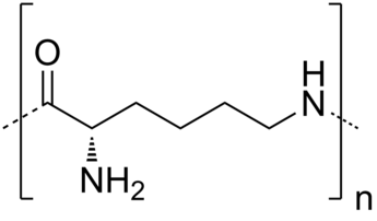 ε-Poly-L-lysine (EPL).