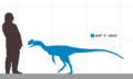 Proceratosaurus size