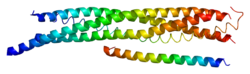 חלבון CPLX1 PDB 1kil.png