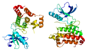 Minijatura za EPH receptor A2