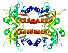 Protein PFN2 PDB 1d1j.png