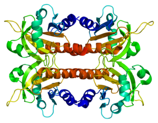 <span class="mw-page-title-main">PFN2</span> Protein-coding gene in the species Homo sapiens