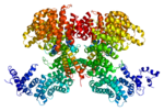 Thumbnail for Sterol regulatory element-binding protein 2