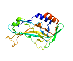 Белок TBX5 PDB 2X6U.png