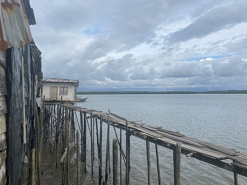 File:Puente de los Nayeros Buenaventura 2023.jpg