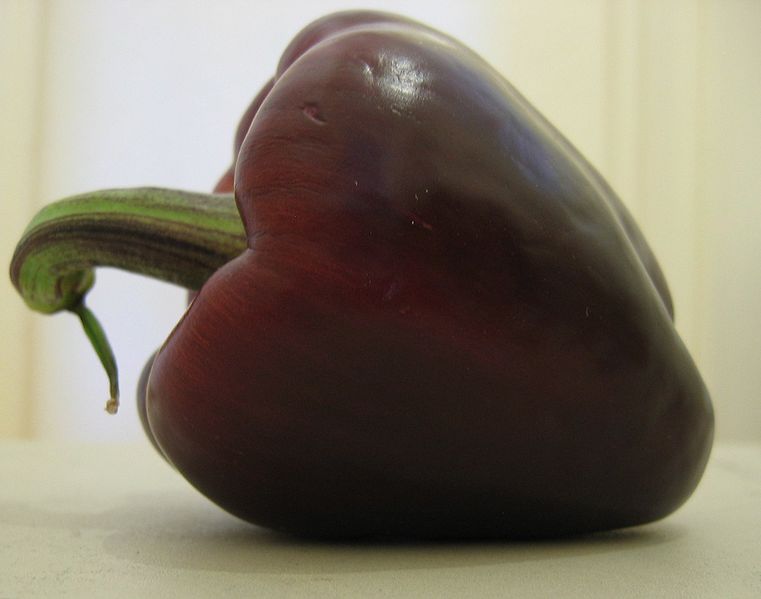 761px-Purple_bellpepper.jpg