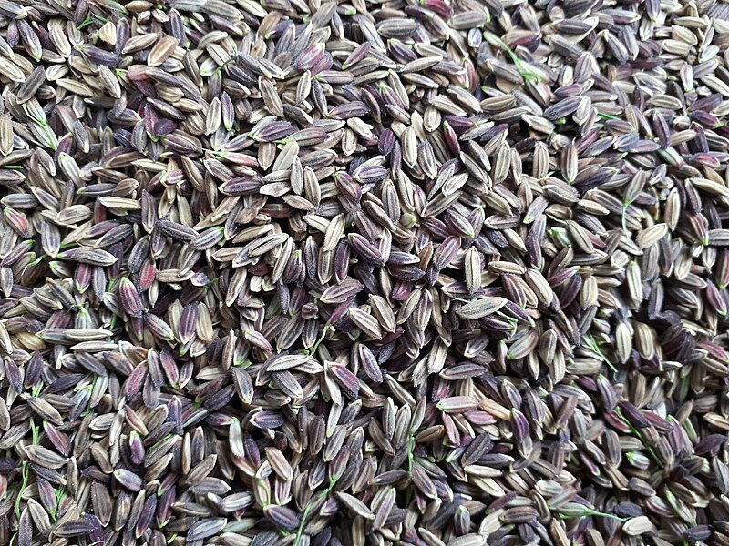 File:Purple rice grains.jpg