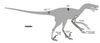 Pyroraptor-Fossil 01.png