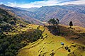 * Nomination: The archaeological site of Qollmay seen from above, with the full footprint of other buildings and remains in Peru By User:Gentle --LLs 23:09, 18 October 2019 (UTC) * * Review needed