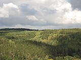 Čeština: Lesy v okolí Rabštejna nad Střelou. Okres Plzeň-sever, Česká republika.