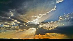 Crepuscular rays