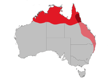 Rang gnangarra.png