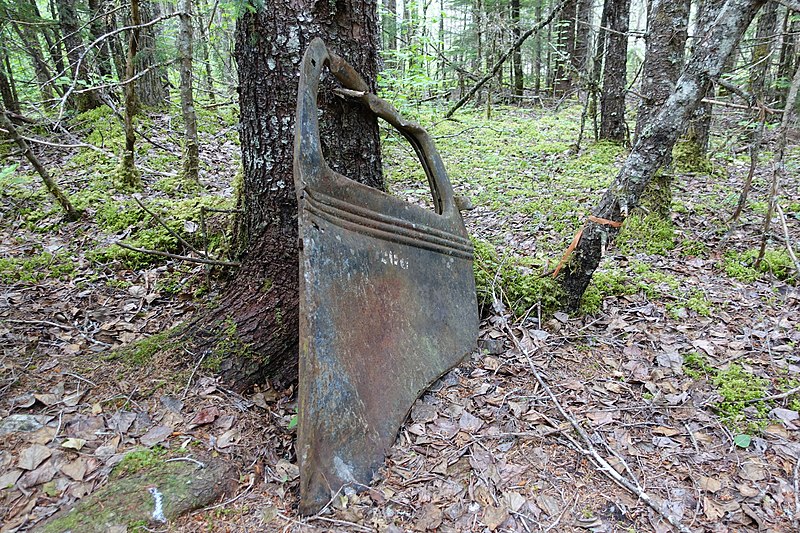 File:Remnant at Hosford Camp Site (df1ee3f0-7fb4-4554-8b3a-3db927346f45).jpg