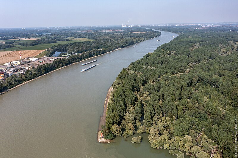 File:Rheinhochwasser bei den Tomateninseln Au am Rhein (51832416245).jpg