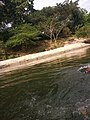 Rio Palomino en la Guajira, Colombia 2