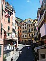 Riomaggiore street-Via di Riomaggiore