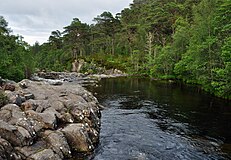 Glen Affric