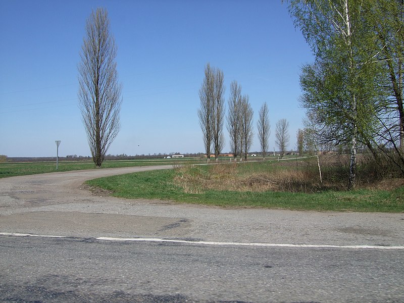 File:Road to Buriaky.jpg