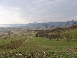 Рона де јос, валеа луи михаи.ЈПГ