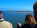 Roundtrip Oudeschild (Texel) - Den Helder - Seals - Oudeschild (Texel) - At the Seals in the Wadden Sea 04.jpg