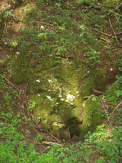 A Csókási Sajt-barlang bejárata
