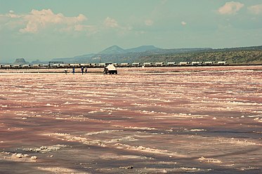 Salt harversting at Lake magadi.jpg