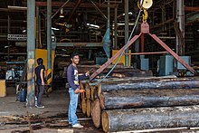 Logs for plywood construction in a plywood factory Sandakan Sabah Plywood-Factory-20a.jpg