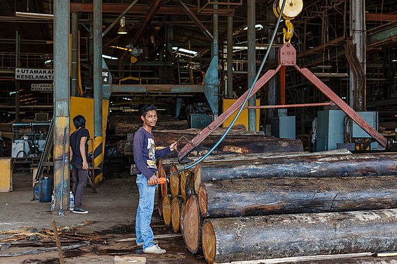 Moving big timbers to the Infeed Point of a peeling lathe in a Plywood Factory