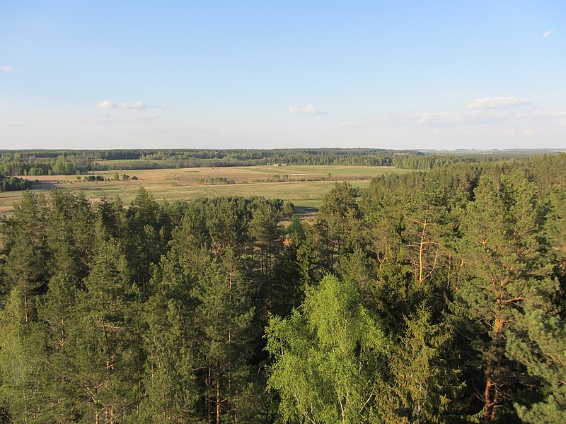 File:Sarių sen., Lithuania - panoramio (2).jpg