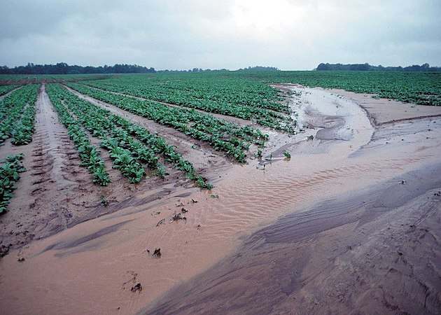 Soil Erosion by Water