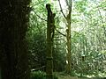 Calvaire de 1830 sur le sentier des pèlerins menant au Mont Sainte-Odile, entre Ottrott et le carrefour Saint-Gorgon.