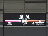 La tabella di stazione attuale, in stile Tōkyū. Notare i due colori diversi, che mettono in evidenza il fatto che presso questa stazione la gestione passa da Tokyo Metro a Tōkyū. (16 marzo 2013)