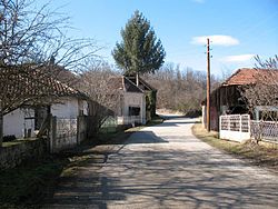 Sibnica Straße