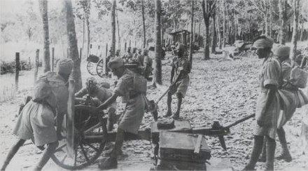 Sikh infantry of the Indian Army serving alongside British Empire troops during a fierce battle against the Imperial Japanese Army (IJA) in Kampar, c. 1941–1942