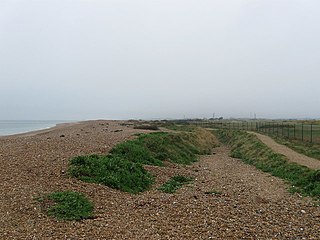 <span class="mw-page-title-main">Sinah Common</span> Site of biological interest in Hampshire, England
