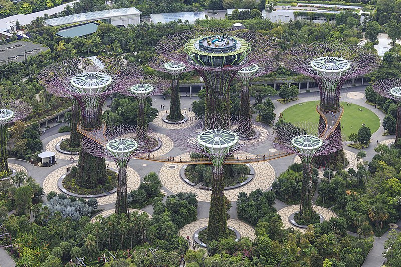 File:Singapore Supertree-Grove-in-The-Gardens-02.jpg