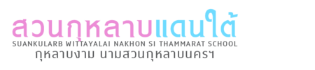 ไฟล์:Skns_Typo_April2018.png