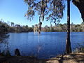 Sneads Smokehouse Lake