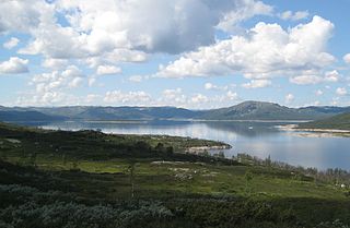 <span class="mw-page-title-main">Songavatnet</span> Lake in Telemark, Norway