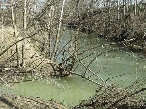 The inflow of the Sorra (left) into the Arbia (right) in Ponte d'Arbia