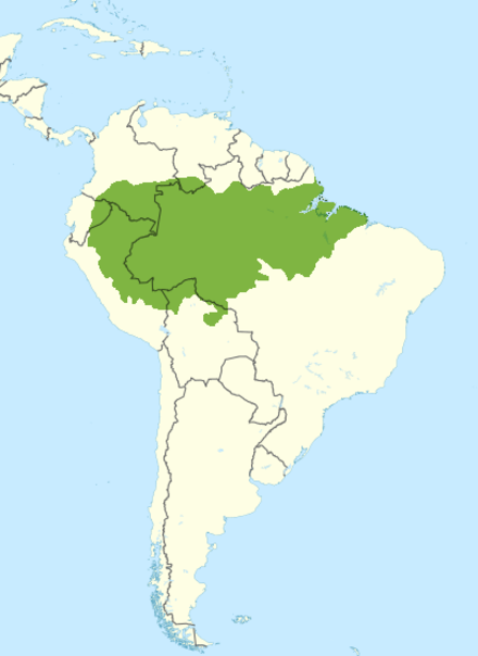 The Amazonia area in South America