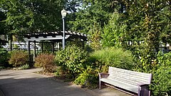 Southeast Portland, Oregon, říjen 2020 - 15.jpg