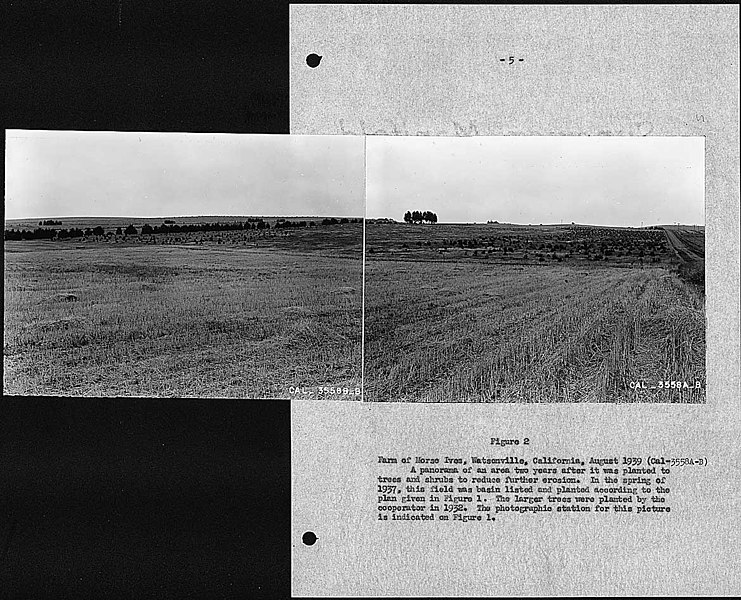 File:Special Report on Farm Foresty Accomplishments in Region Ten, by Harry E. Reddick, Regional Conservator - NARA - 296662 (page 6).jpg