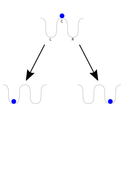 A ball is initially located at the top of the central hill (C). This position is an unstable equilibrium: a very small perturbation will cause it to fall to one of the two stable wells left (L) or right (R). Even if the hill is symmetric and there is no reason for the ball to fall on either side, the observed final state is not symmetric.