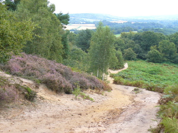 In the Middle Ages the pilgrims' route left the ancient trackway to climb St Martha's Hill