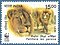 Stamp of India - 1999 - Colnect 161722 - Two Asiatic Lions Panthera leo persica.jpeg