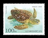 Caretta su un francobollo azerbaigiano