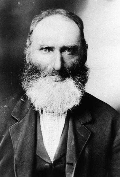 File:StateLibQld 2 174667 George Bamberry, tin miner of Stanthorpe, 1872.jpg