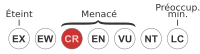 Kritikusan veszélyeztetett